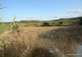 Terreny no urbanitzable en venda a la España, Oriola, ref.: TR235571 foto