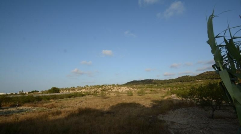 Alicante - Orihuela - 17000m2