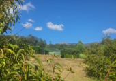 Land suitable for development for sale on España, Gondomar, ref: TR139987 photo