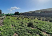 Xalet independent amb terreny en venda a la España, Santa Lucía de Tirajana, ref.: TR293263 foto