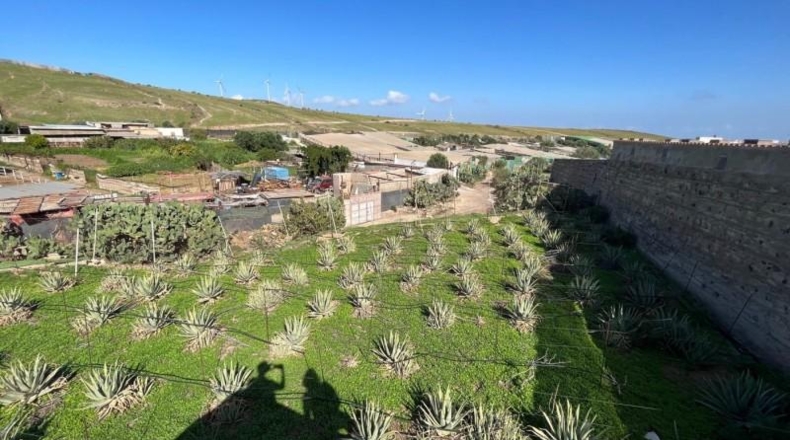 Las Palmas - Santa Lucía de Tirajana - 4666m2