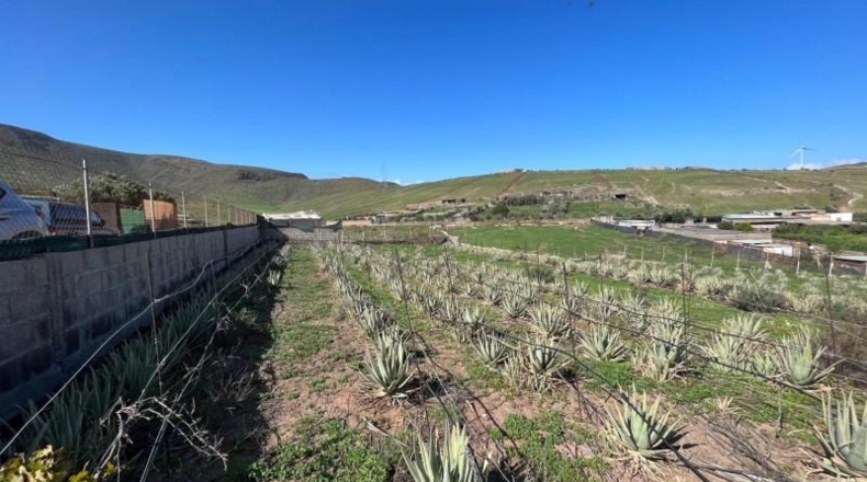 Las Palmas - Santa Lucía de Tirajana - 4666m2