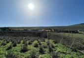 Xalet independent amb terreny en venda a la España, Santa Lucía de Tirajana, ref.: TR293263 foto