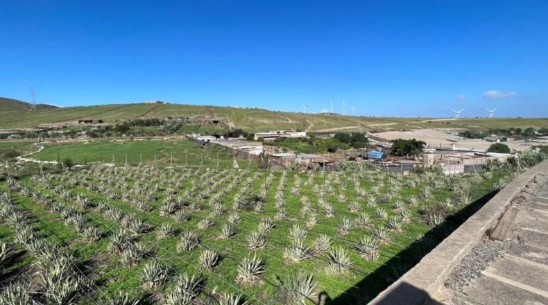 Las Palmas - Santa Lucía de Tirajana - 4666m2