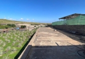 Xalet independent amb terreny en venda a la España, Santa Lucía de Tirajana, ref.: TR293263 foto