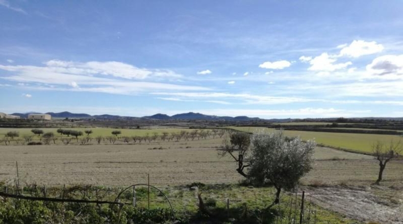 Murcia - Moratalla - 14800m2