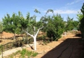Xalet independent amb terreny en venda a la España, Ciudad Real, ref.: TR298868 foto