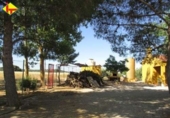 Xalet independent amb terreny en venda a la España, Ciudad Real, ref.: TR298868 foto