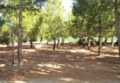 Xalet independent amb terreny en venda a la España, Ciudad Real, ref.: TR298868 foto