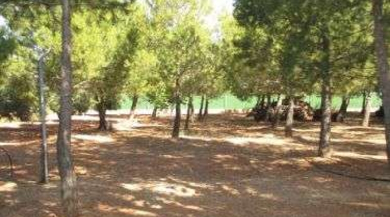 Ciudad Real - Valdepeñas - 10000m2