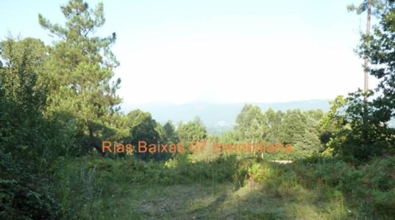 Pontevedra - Porriño - 1900m2