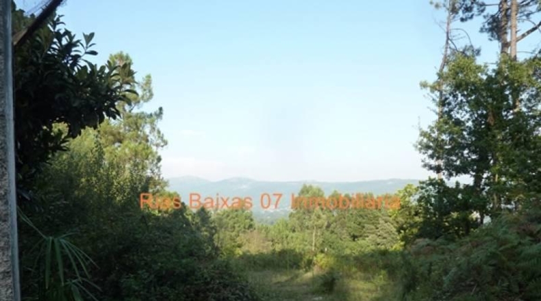 Pontevedra - Porriño - 1900m2