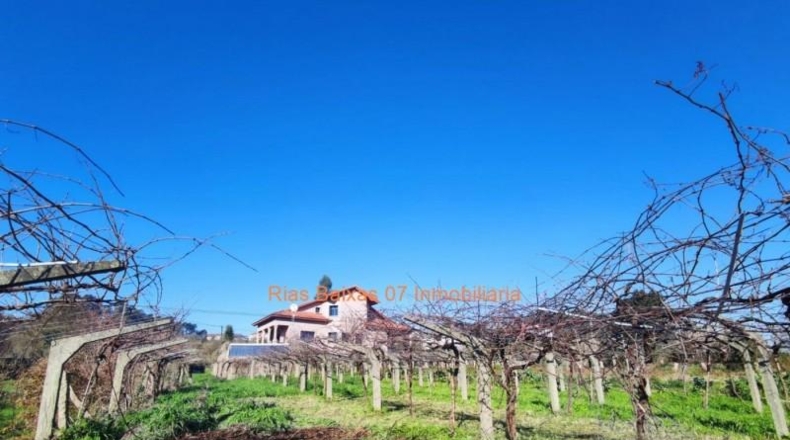 Pontevedra - Porriño - 905m2