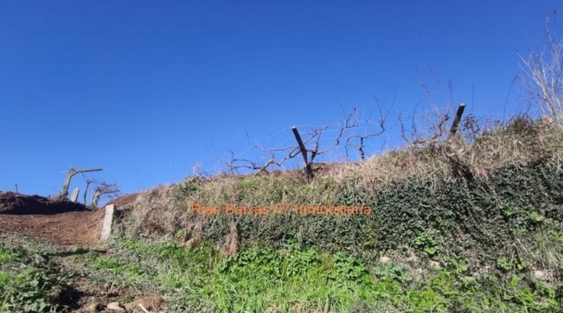 Pontevedra - Porriño - 905m2