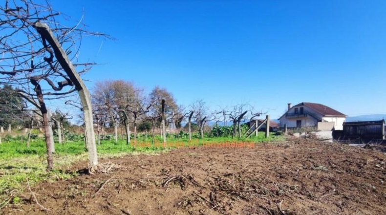 Pontevedra - Porriño - 905m2