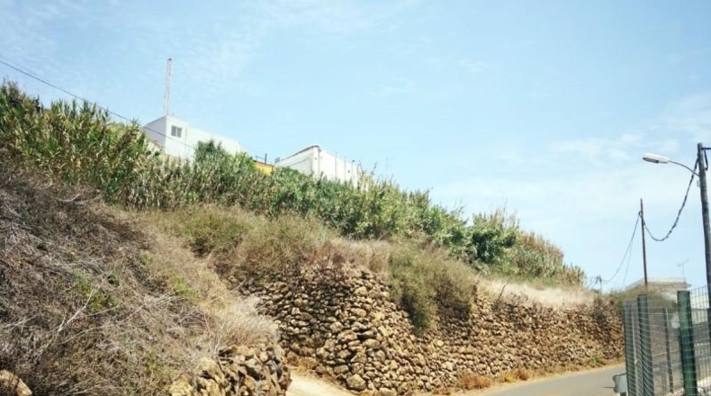 Las Palmas - Vega de San Mateo - 631m2