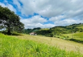 Non-developable land for sale on España, Gijón, ref: TR120271 photo