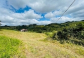 Non-developable land for sale on España, Gijón, ref: TR120271 photo