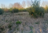 Land suitable for development for sale on España, Murcia, ref: TR250388 photo