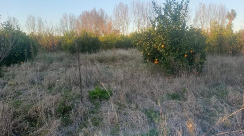 Murcia - Murcia - 2780m2