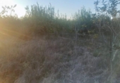 Land suitable for development for sale on España, Murcia, ref: TR250388 photo