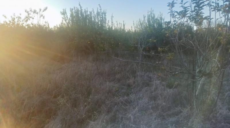 Murcia - Murcia - 2780m2