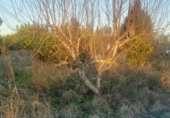 Land suitable for development for sale on España, Murcia, ref: TR250388 photo