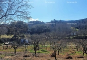 Non-developable land for sale on España, Galaroza, ref: TR306395 photo