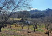 Non-developable land for sale on España, Galaroza, ref: TR306395 photo
