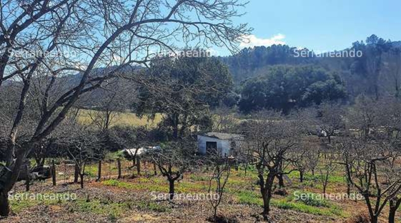 Huelva - Galaroza - 3128m2