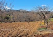 Non-developable land for sale on España, Galaroza, ref: TR306395 photo