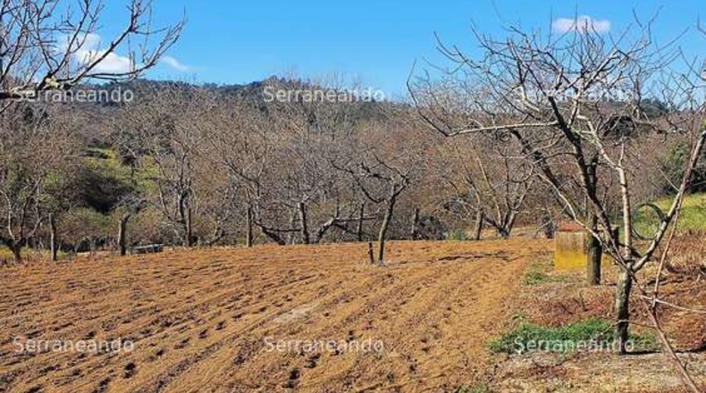Huelva - Galaroza - 3128m2