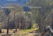 Non-developable land for sale on España, Galaroza, ref: TR306395 photo