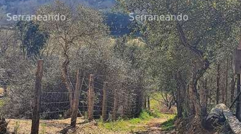 Huelva - Galaroza - 3128m2