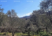 Non-developable land for sale on España, Galaroza, ref: TR306395 photo