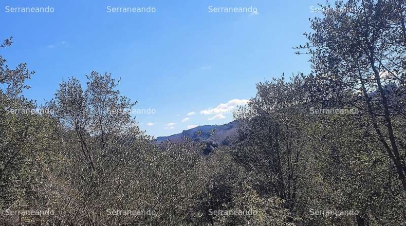 Huelva - Galaroza - 3128m2
