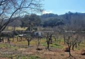 Non-developable land for sale on España, Galaroza, ref: TR306395 photo
