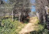 Non-developable land for sale on España, Galaroza, ref: TR306395 photo