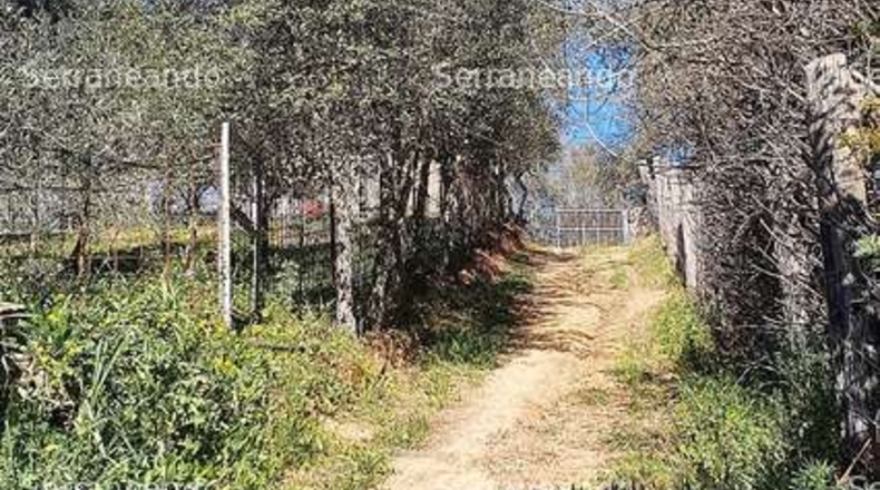 Huelva - Galaroza - 3128m2