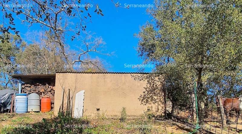 Huelva - Galaroza - 3128m2