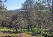 Non-developable land for sale on España, Galaroza, ref: TR306395 photo