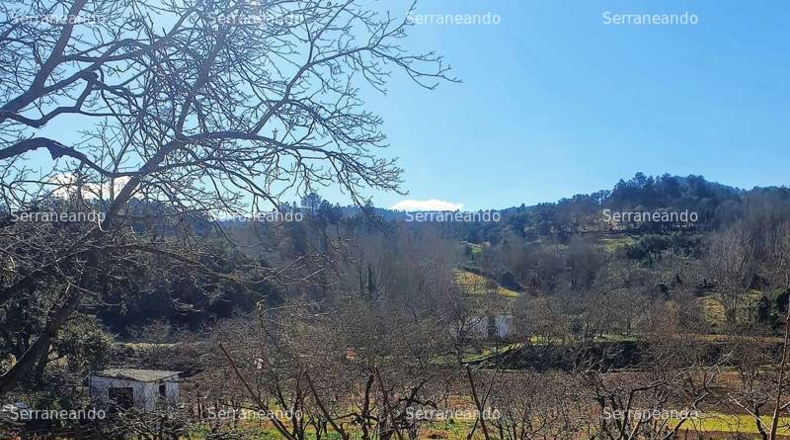 Huelva - Galaroza - 3128m2