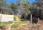Non-developable land for sale on España, Galaroza, ref: TR306395 photo