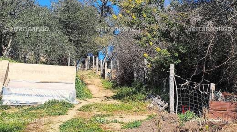 Huelva - Galaroza - 3128m2