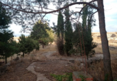 Casa de camp amb terreny en venda a la España, Torrecuadrada de Molina, ref.: TR301107 foto