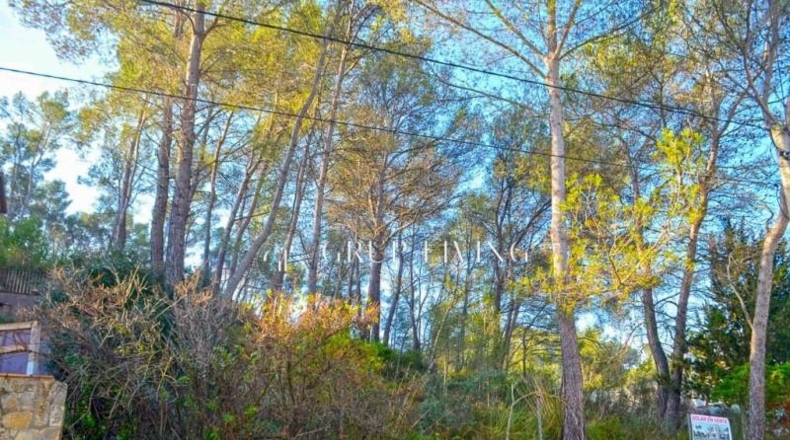 Barcelona - Olivella - 1329m2