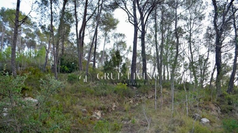 Barcelona - Olivella - 1329m2