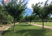 Non-developable land for sale on España, Peralta, ref: TR116469 photo