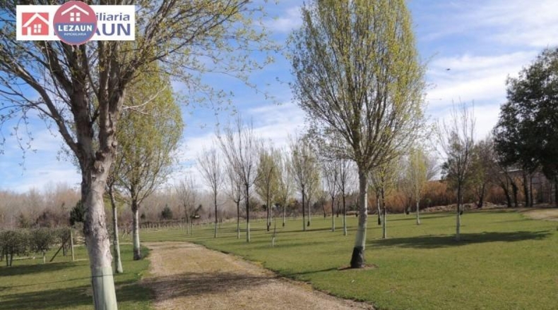Navarra - Peralta - 15760m2