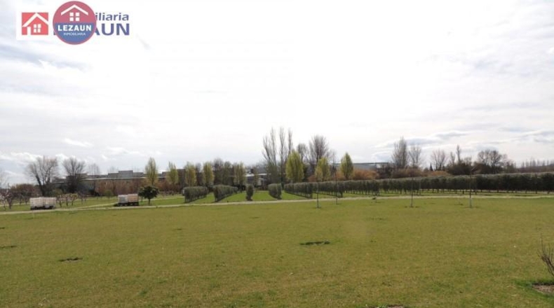 Navarra - Peralta - 15760m2